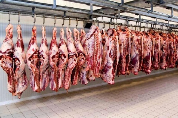  گوشت گوسفندی گران‌تر شد/ قیمت به کیلویی ۷۲ هزارتومان رسید 